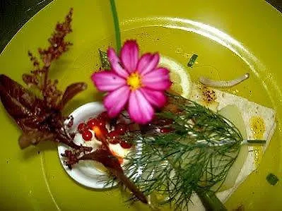 فندق Logis - Des Lauriers - Et Restaurant 2*